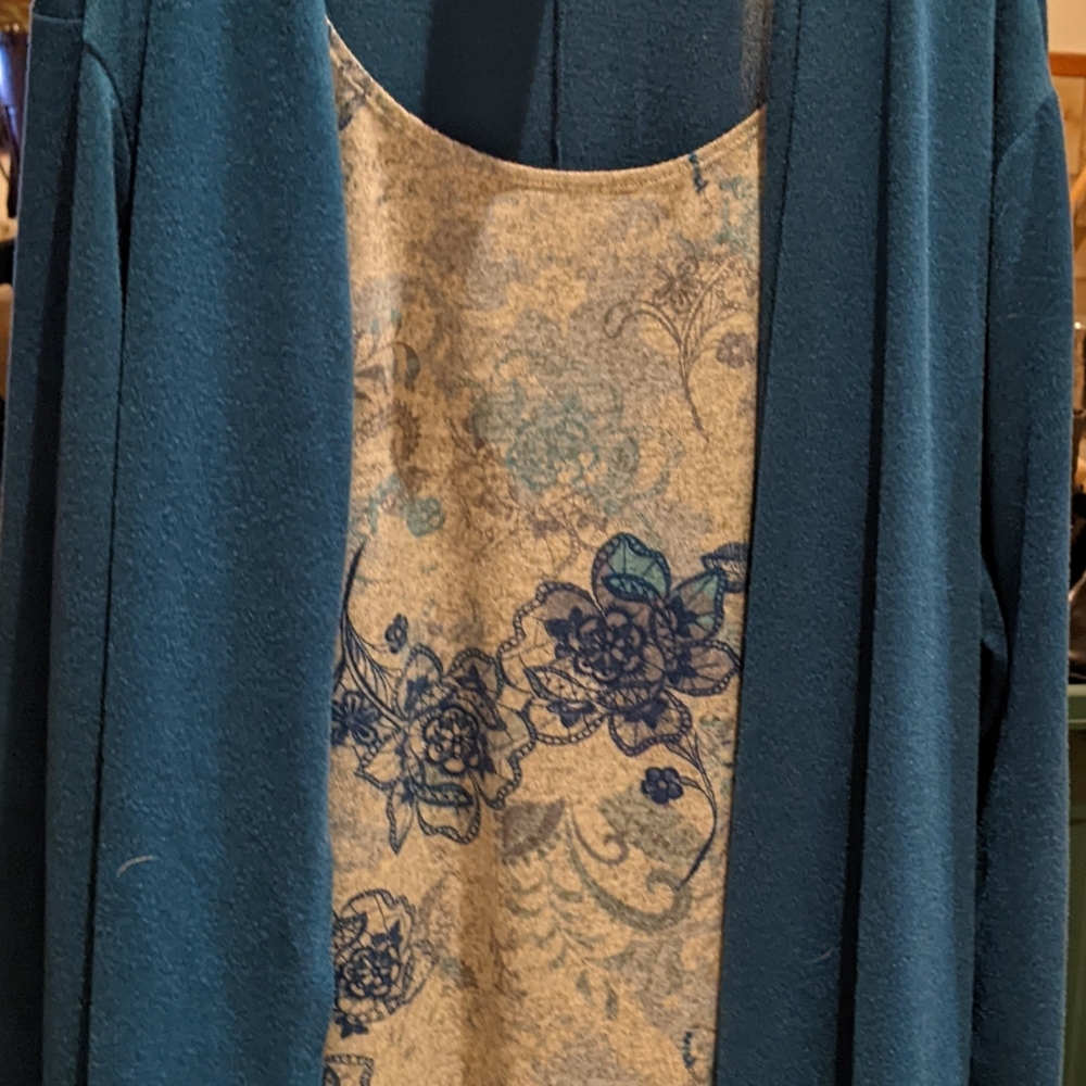 White Stag brand, 26W/4x, blue and grey